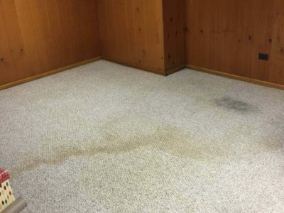 Affordable carpet cleaning services for homes and businesses in Chicago.