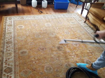 rug cleaning service