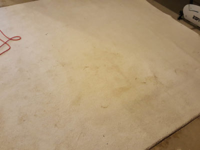 rug cleaning services Chicago