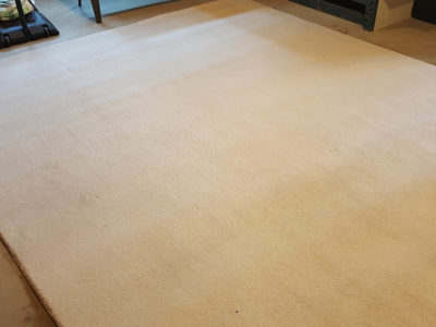 carpet cleaning services Chicago
