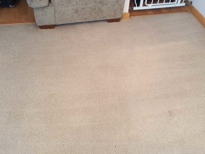 upholstery and carpet cleaning services