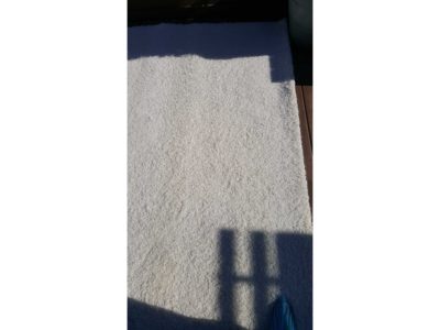 carpet and upholstery cleaning service
