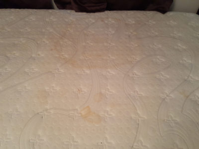 Mattress and sofa cleaning services at home – Chicago Couch Cleaning