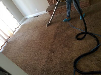 Certified carpet cleaners providing top-quality services in Chicago.