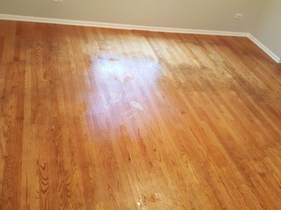 Chicago Couch Cleaning – hardwood cleaning and buffing.