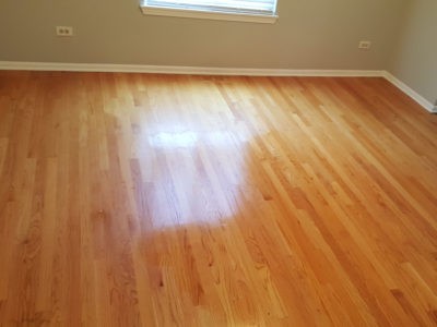 Eco-friendly hardwood floor cleaning by Chicago Couch Cleaning.