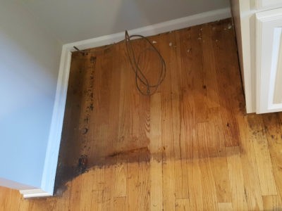 Chicago Couch Cleaning – expert hardwood polishing.