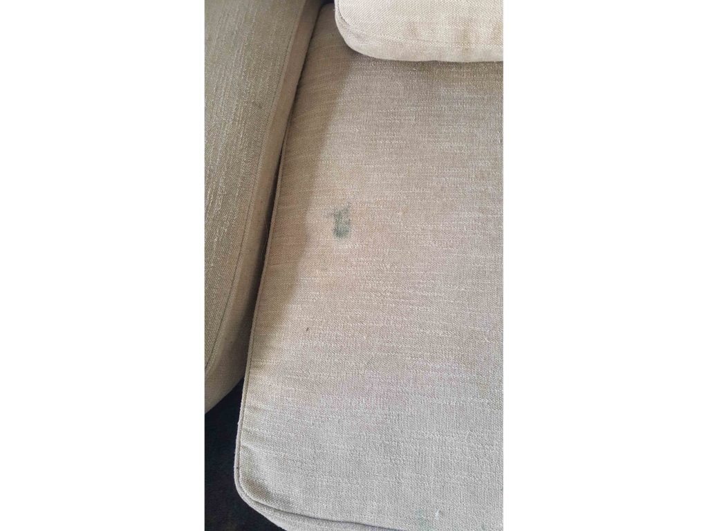 upholstery cleaning services