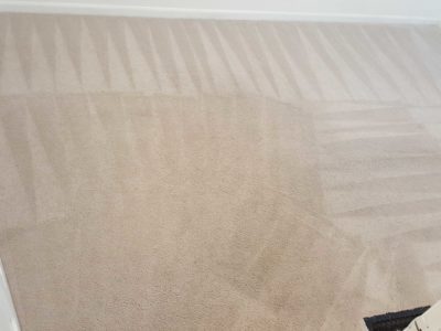 Professional carpet cleaning services in Chicago by Chicago Couch Cleaning.