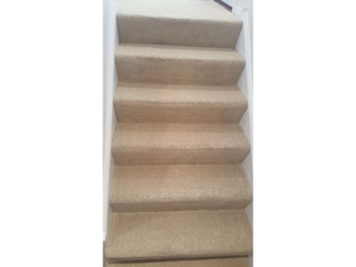 Steam carpet cleaning, Chicago Couch Cleaning.