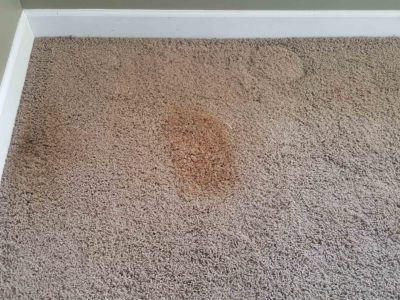 Residential carpet cleaning, Chicago Couch Cleaning.