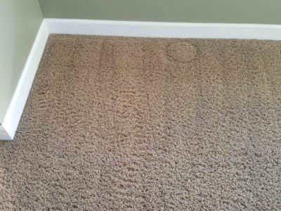 Deep carpet cleaning by Chicago Couch Cleaning.