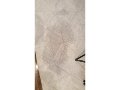 chicago couch cleaning services prices