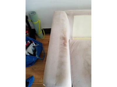 professional upholstery cleaner