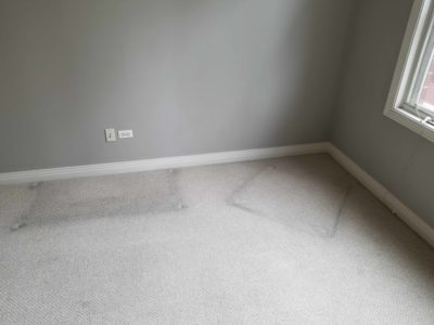 Eco-friendly carpet cleaning, Chicago Couch Cleaning.