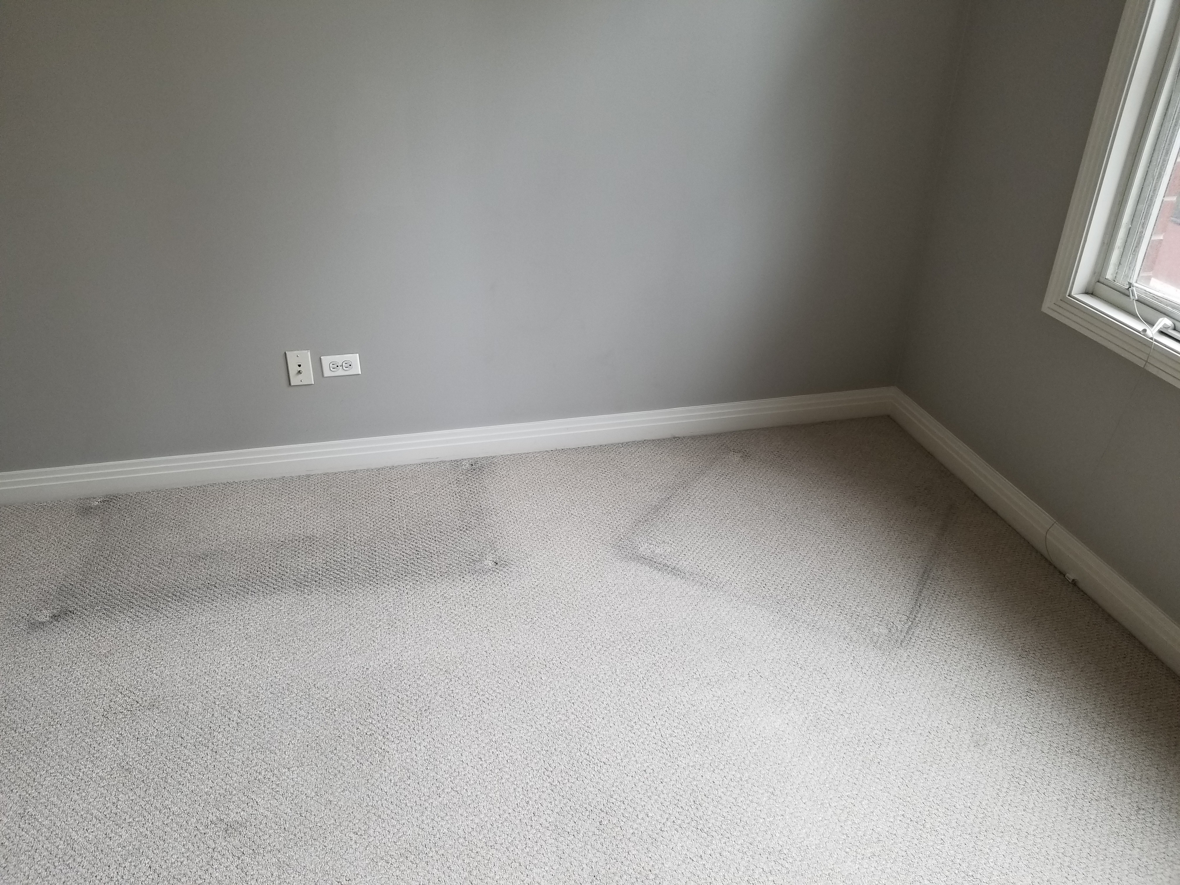 Professional carpet stain removal and deodorizing by Chicago Couch Cleaning.