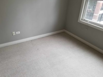 Carpet cleaning by Chicago Couch Cleaning, Chicago.