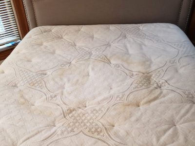 cleaning mattress services