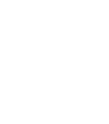 Logo Chicago Couch Cleaning