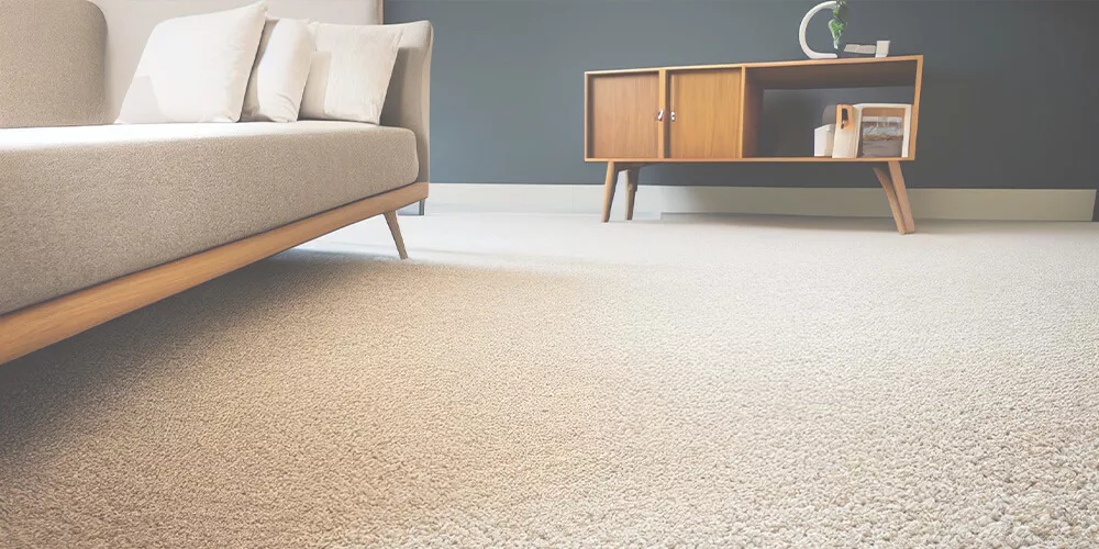 Professional upholstery cleaning service in Chicago removing dirt and allergens from a sofa.