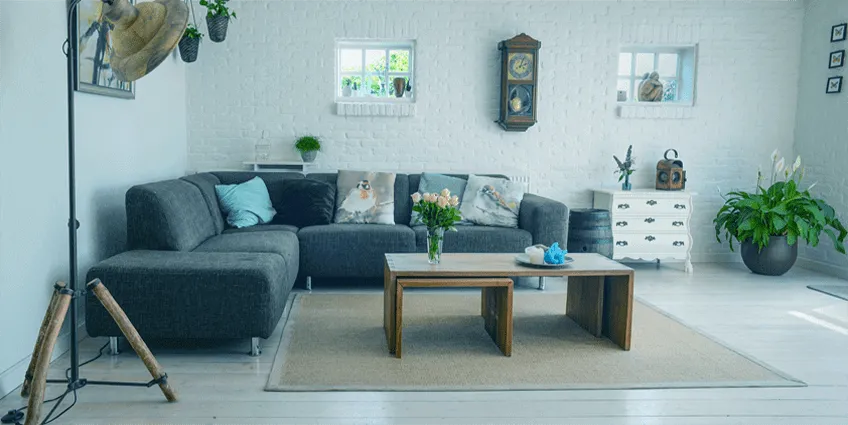 chicago couch cleaning