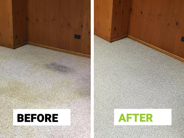 Office carpet cleaning Chicago – stain and odor removal restores professional look