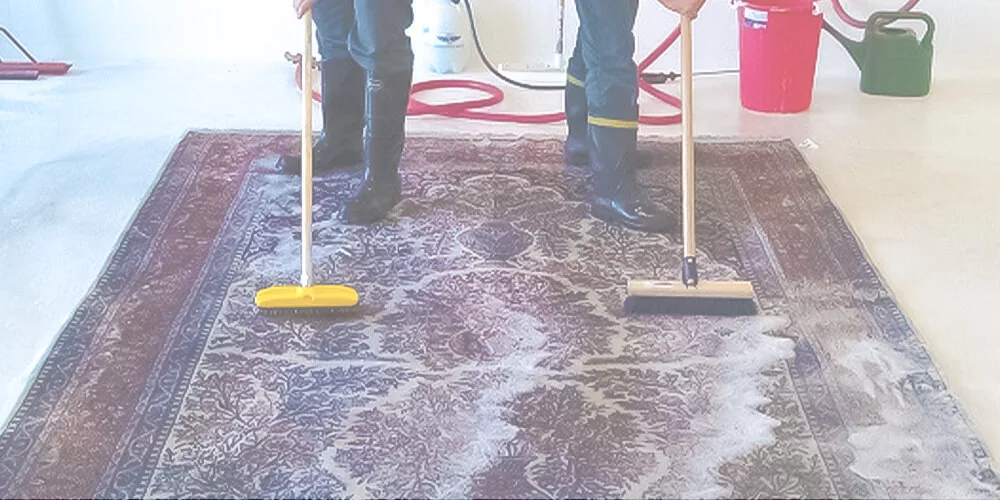 Professional rug cleaning service in Chicago.