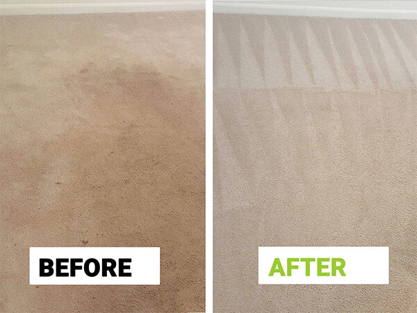 Chicago carpet cleaning service - pet urine odor removal and fast-drying traffic lane treatment