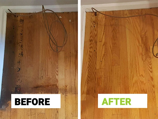 Hardwood floor cleaning Chicago - deep scrub and wax removal restores original sheen
