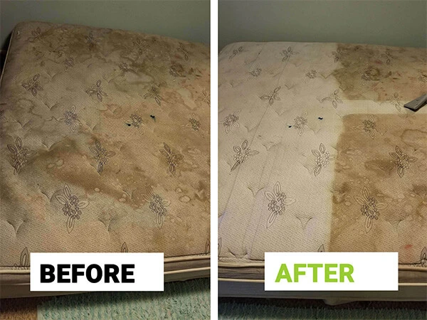 Mattress cleaning Chicago results - deep steam cleaning and sanitizing