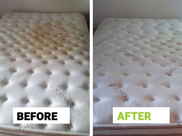 Mattress stain removal in Chicago - sweat and pet accidents treated