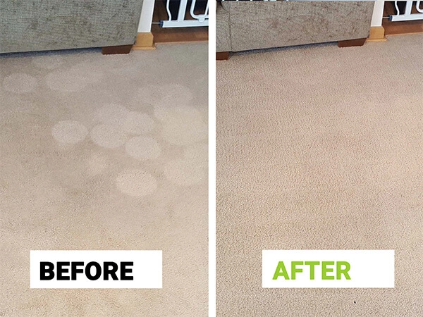Area rug cleaning Chicago - wool and oriental rug stain removal results