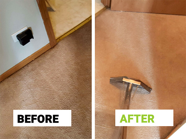 Commercial carpet cleaning Chicago – deep extraction removes high-traffic dirt